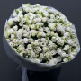 101 белая эустома