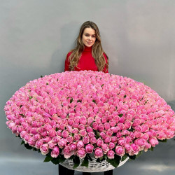 Букет из 501 розовой розы «Очарование»