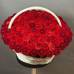 Композиция из 101 красной георгины в корзине