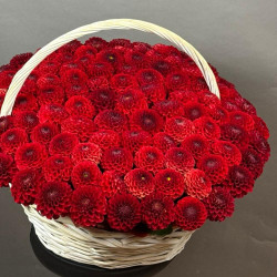 Композиция из 101 красной георгины в корзине